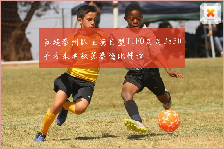 苏超泰州队主场巨型TIFO足足3850平方米共叙苏泰德比情谊