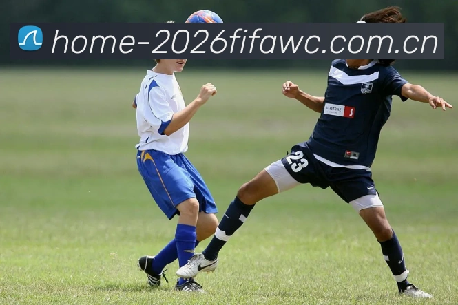 FIFA官方彩票数据授权证书
